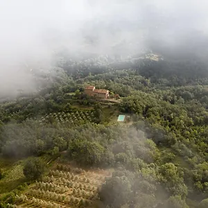  Alloggio per agriturismo Agriturismo Toscanna
